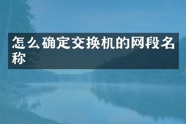 怎么确定交换机的网段名称