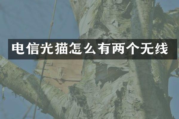 电信光猫怎么有两个无线