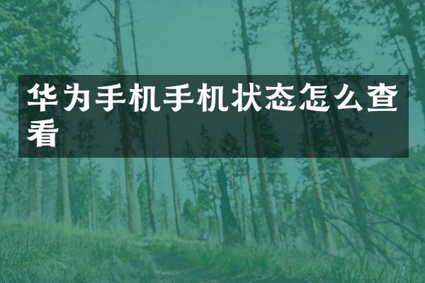 华为手机手机状态怎么查看