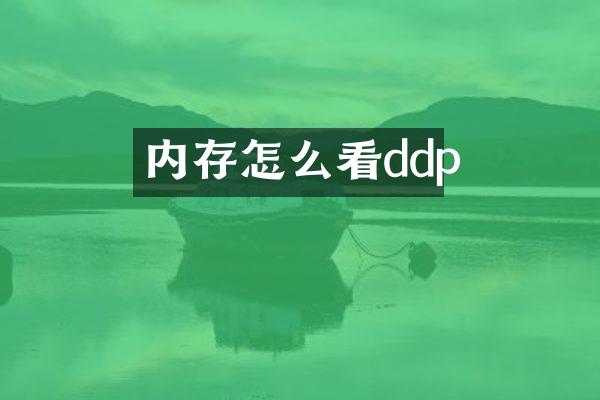 内存怎么看ddp