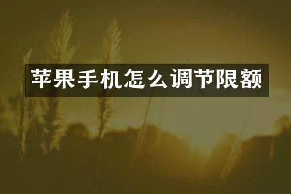 苹果手机怎么调节限额