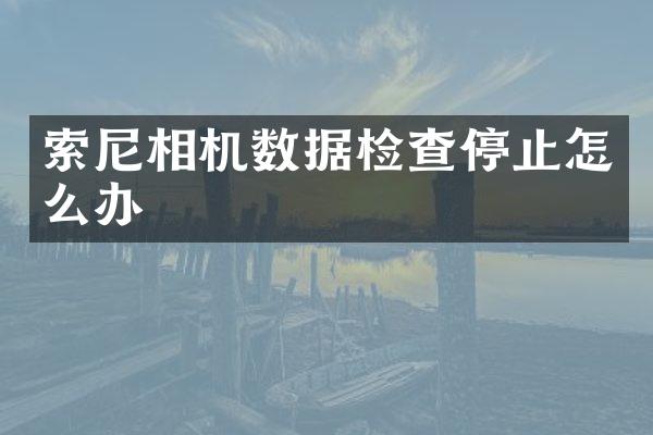 索尼相机数据检查停止怎么办