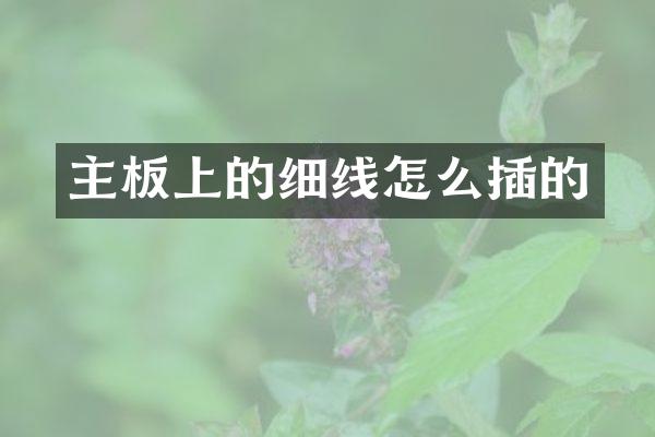主板上的细线怎么插的