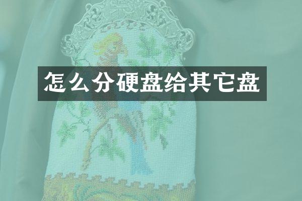怎么分硬盘给其它盘
