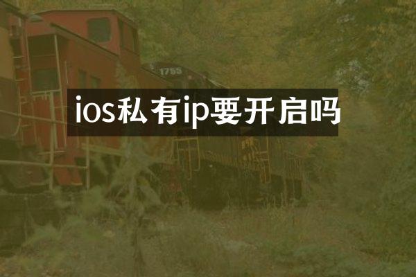 ios私有ip要开启吗