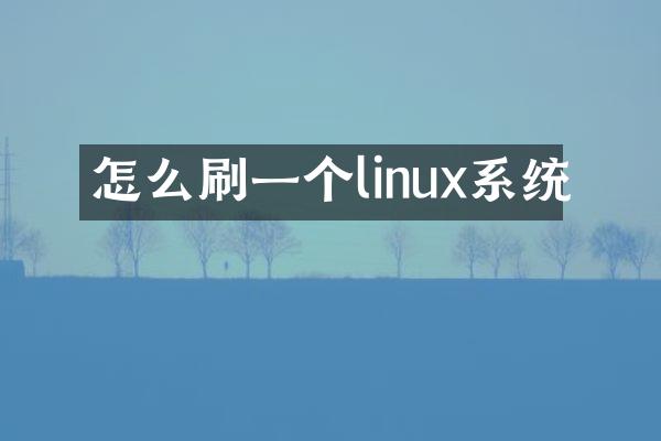怎么刷一个linux系统