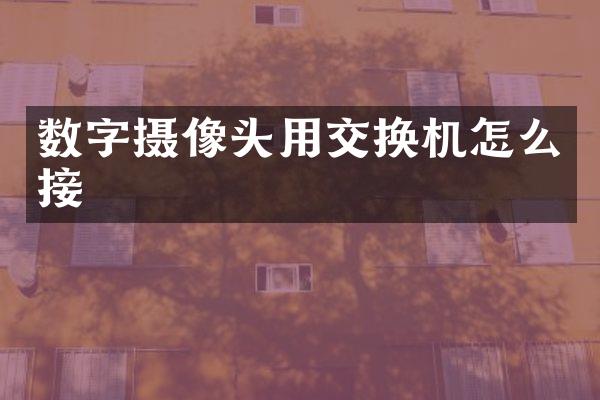 数字摄像头用交换机怎么接