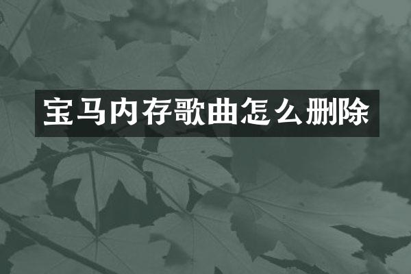 宝马内存歌曲怎么删除