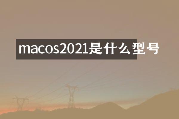 macos2021是什么型号