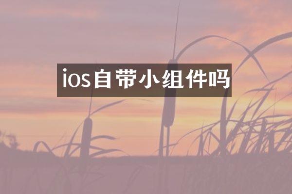ios自带小组件吗