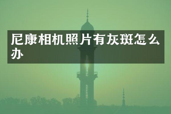 尼康相机照片有灰斑怎么办