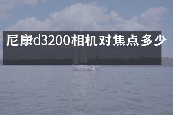 尼康d3200相机对焦点多少个