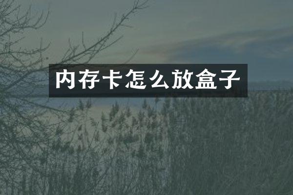 内存卡怎么放盒子
