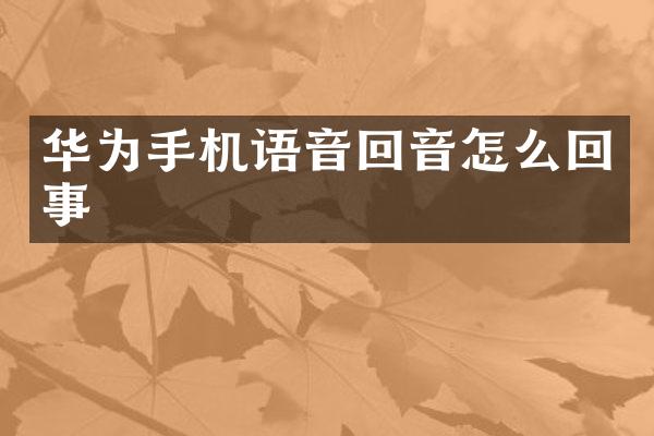 华为手机语音回音怎么回事