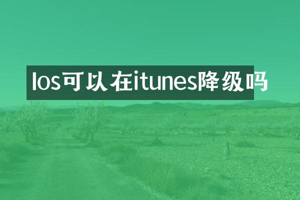 Ios可以在itunes降级吗