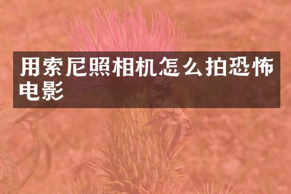 用索尼照相机怎么拍恐怖电影