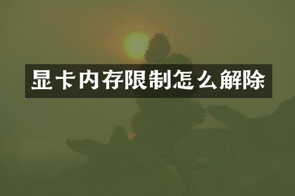 显卡内存限制怎么解除
