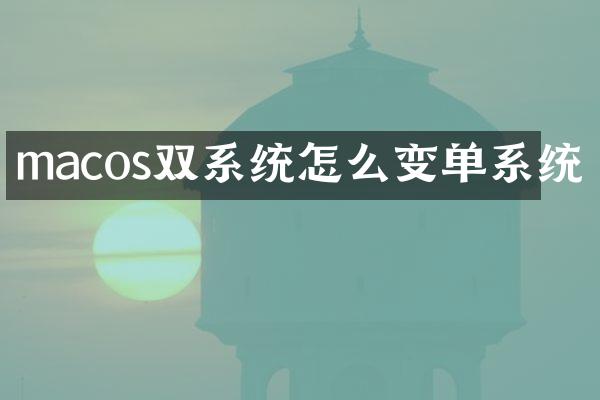 macos双系统怎么变单系统