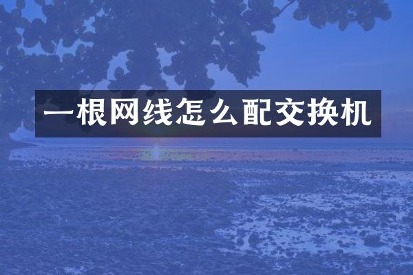 一根网线怎么配交换机