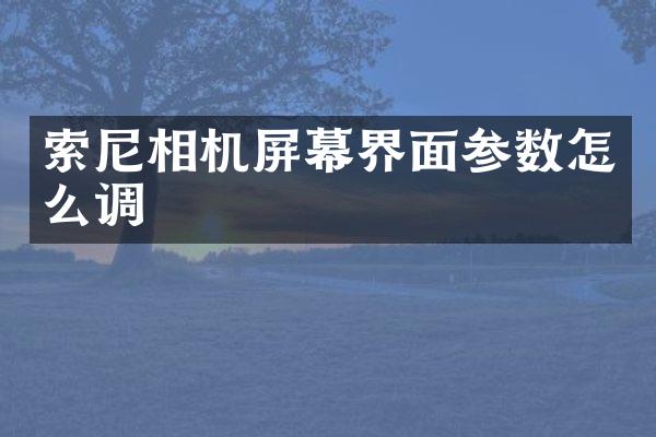 索尼相机屏幕界面参数怎么调