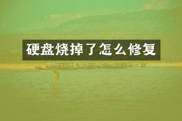 硬盘烧掉了怎么修复