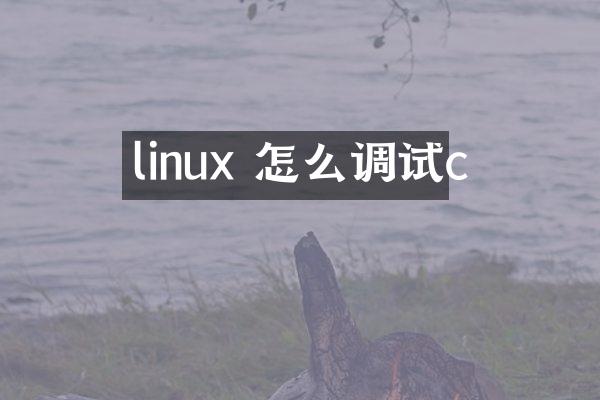 linux 怎么调试c