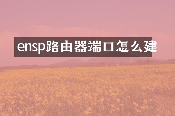 ensp路由器端口怎么建