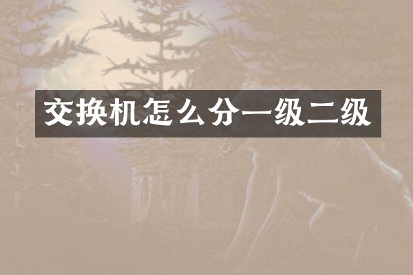 交换机怎么分一级二级