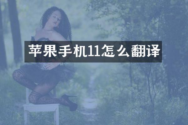 苹果手机11怎么翻译