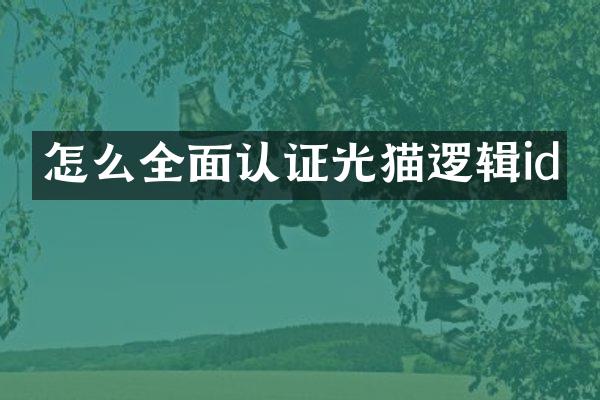 怎么全面认证光猫逻辑id