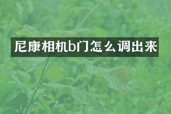 尼康相机b门怎么调出来