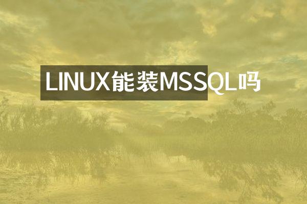 LINUX能装MSSQL吗