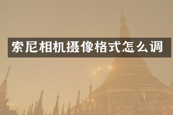 索尼相机摄像格式怎么调