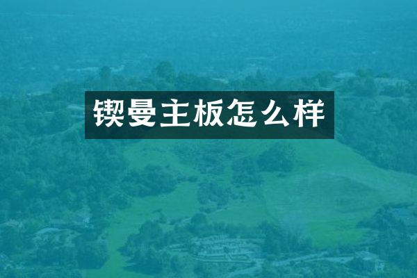 锲曼主板怎么样