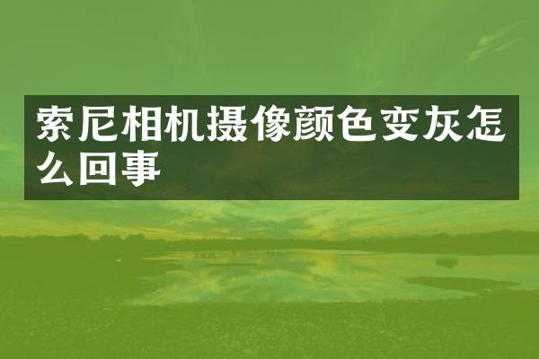 索尼相机摄像颜色变灰怎么回事