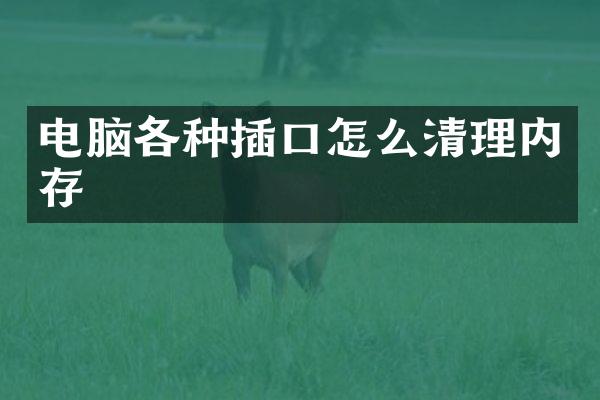 电脑各种插口怎么清理内存