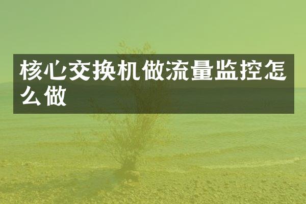 核心交换机做流量监控怎么做