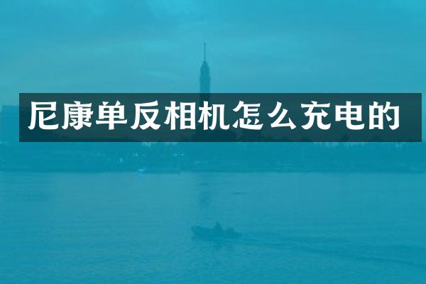 尼康单反相机怎么充电的