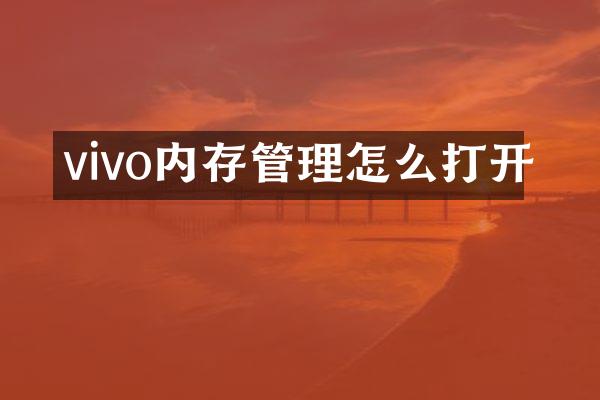 vivo内存管理怎么打开