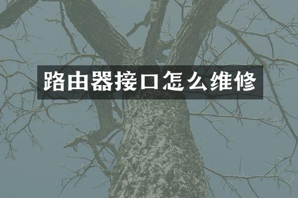 路由器接口怎么维修