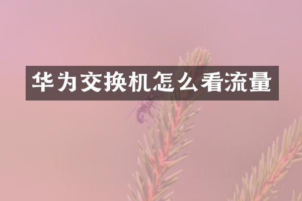 华为交换机怎么看流量