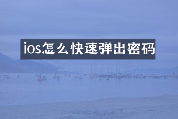 ios怎么快速弹出密码
