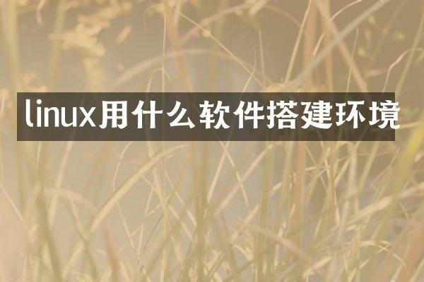 linux用什么软件搭建环境