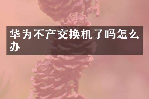 华为不产交换机了吗怎么办