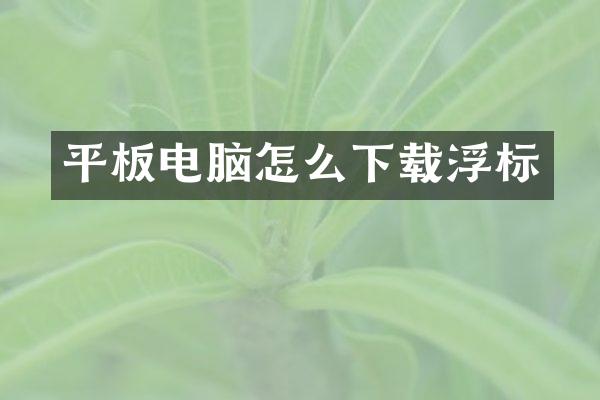 平板电脑怎么下载浮标