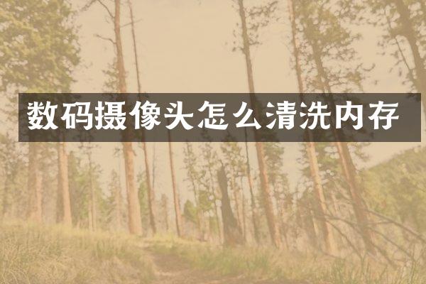 数码摄像头怎么清洗内存