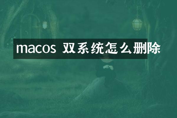 macos 双系统怎么删除