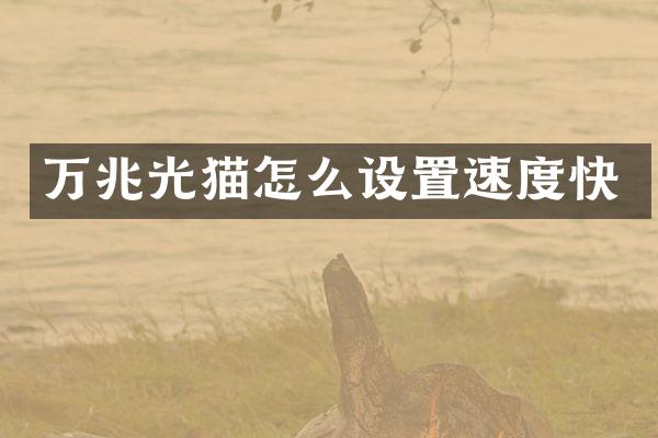 万兆光猫怎么设置速度快