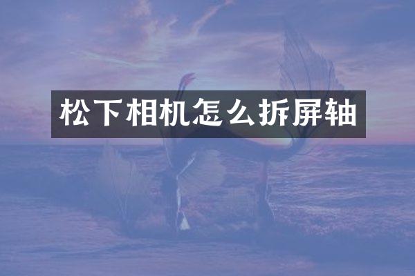 松下相机怎么拆屏轴