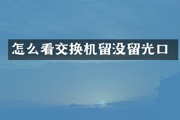 怎么看交换机留没留光口